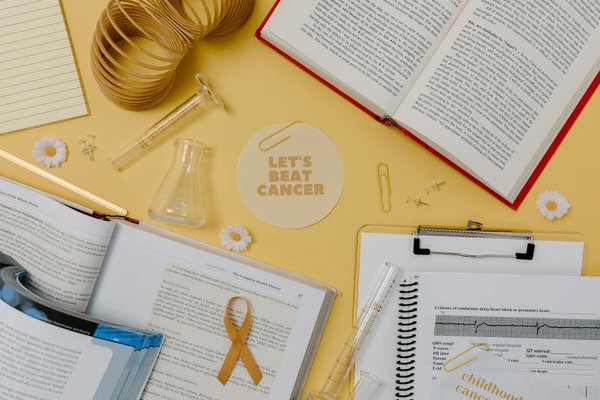 Les bienfaits insoupçonnés des noix sur la santé cérébrale : un rempart contre les maladies neurodégénératives